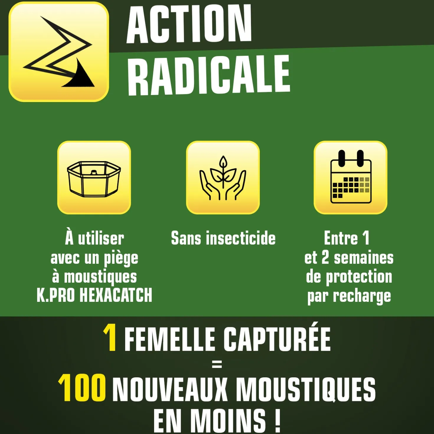 Pack de 10 recharges adhésives pour Pièges anti-ponte moustiques