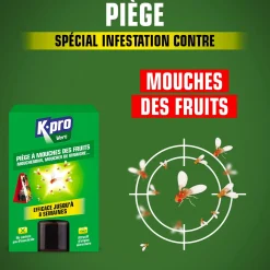 Piège à mouches des fruits
