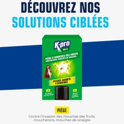 Piège à mouches des fruits