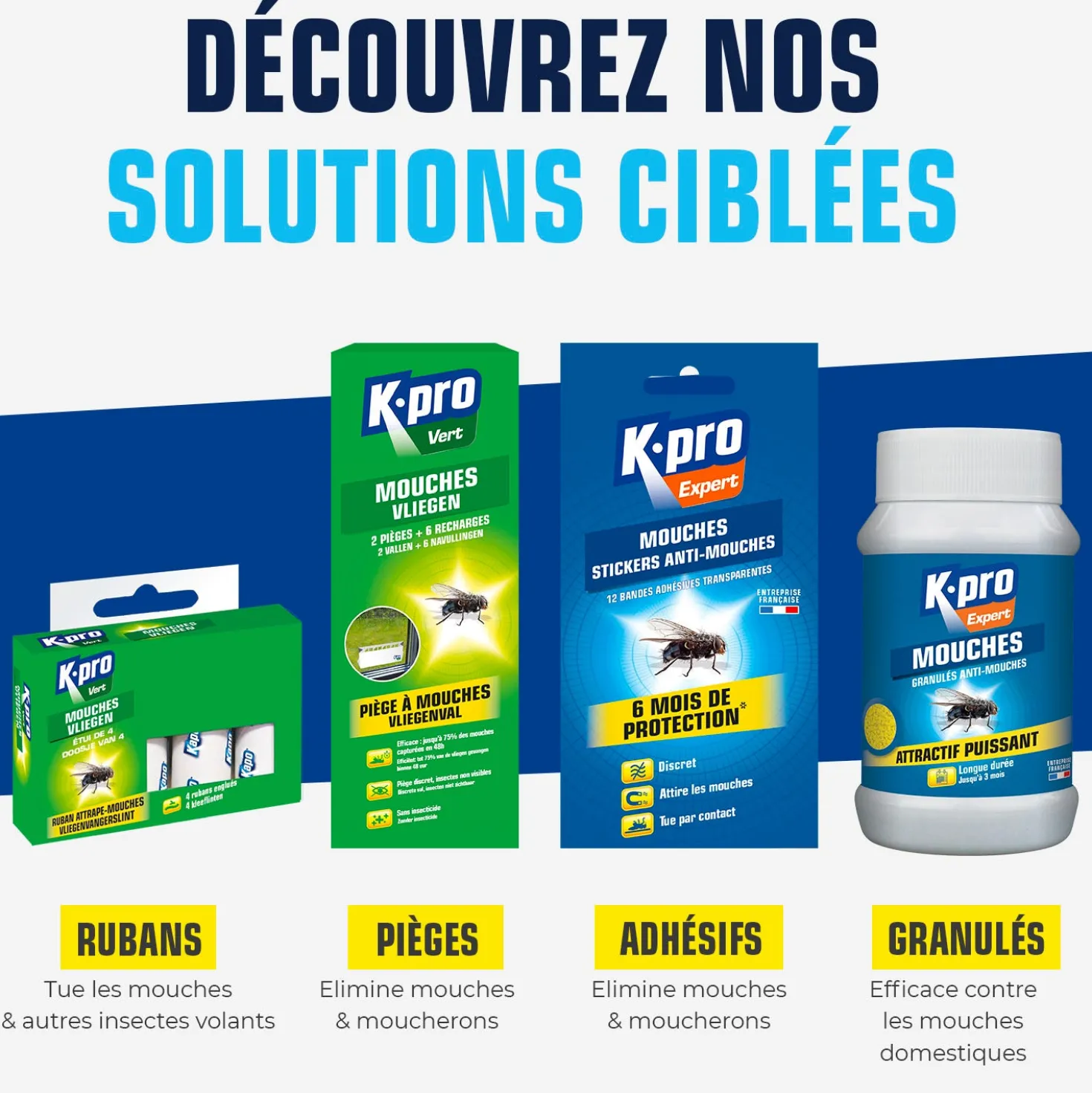 Pièges à mouches