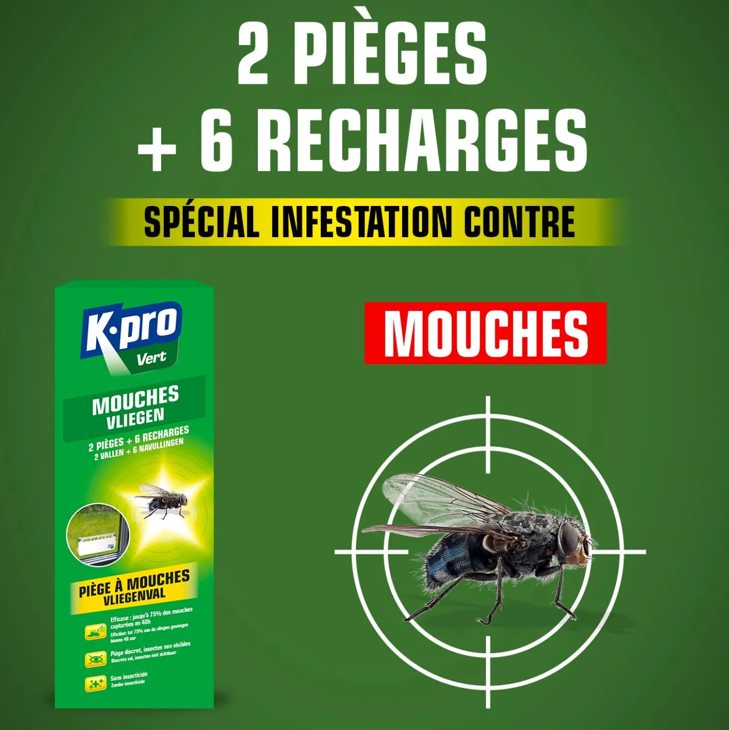 Pièges à mouches