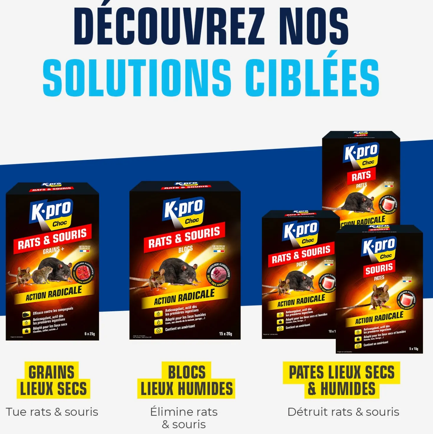 Pâtes rats