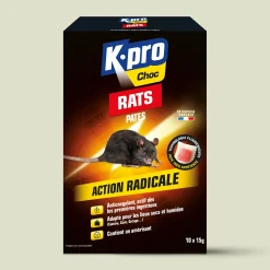 Pâtes rats