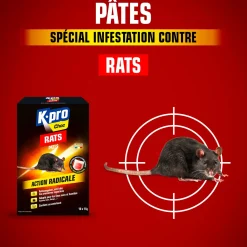 Pâtes rats