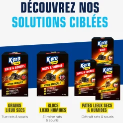 Pâtes rats et souris