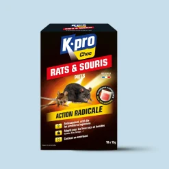 Pâtes rats et souris