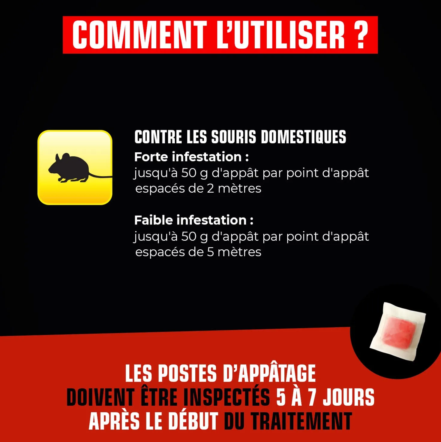 Pâtes souris