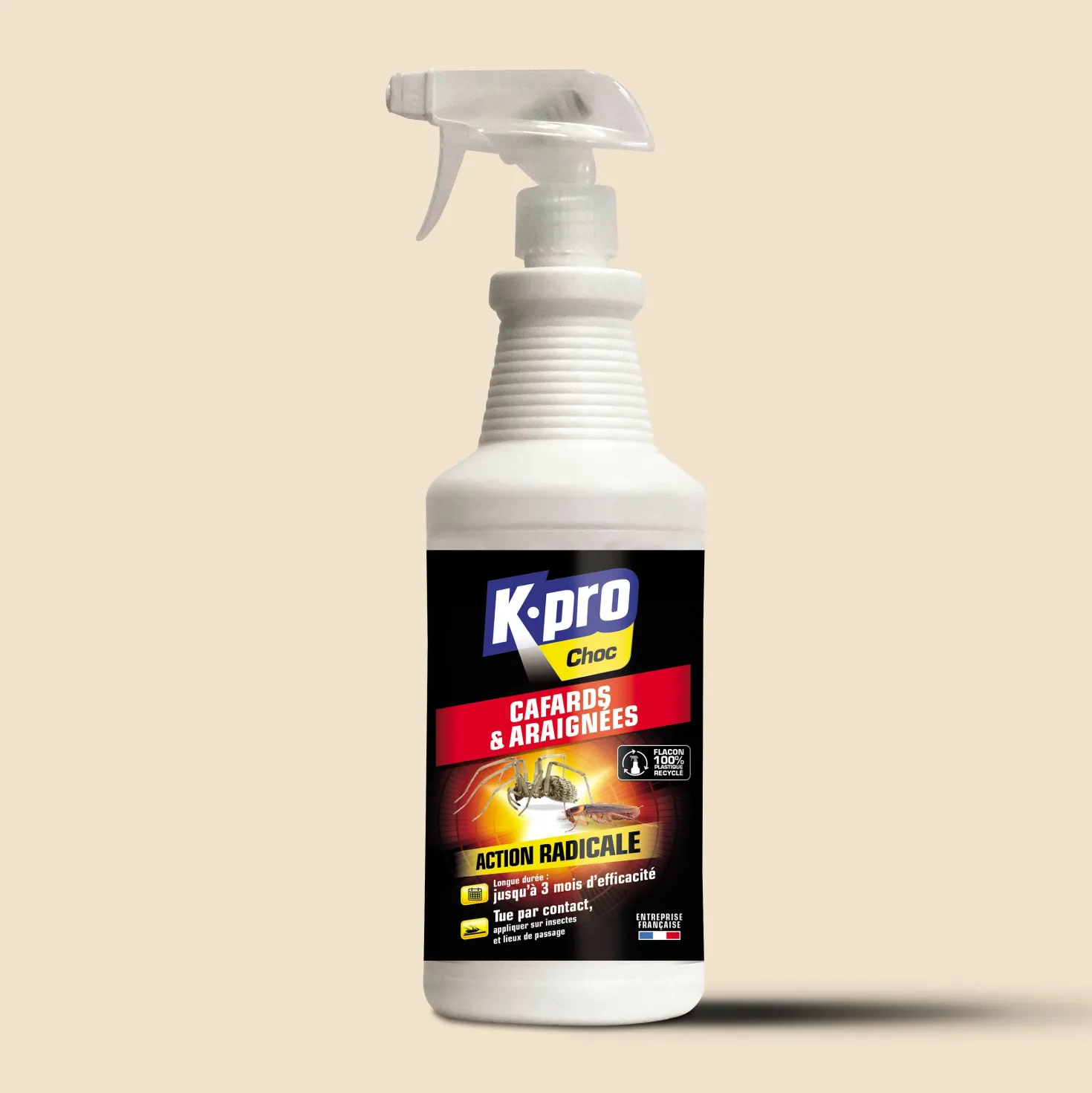 Pulvérisateur cafards et araignées