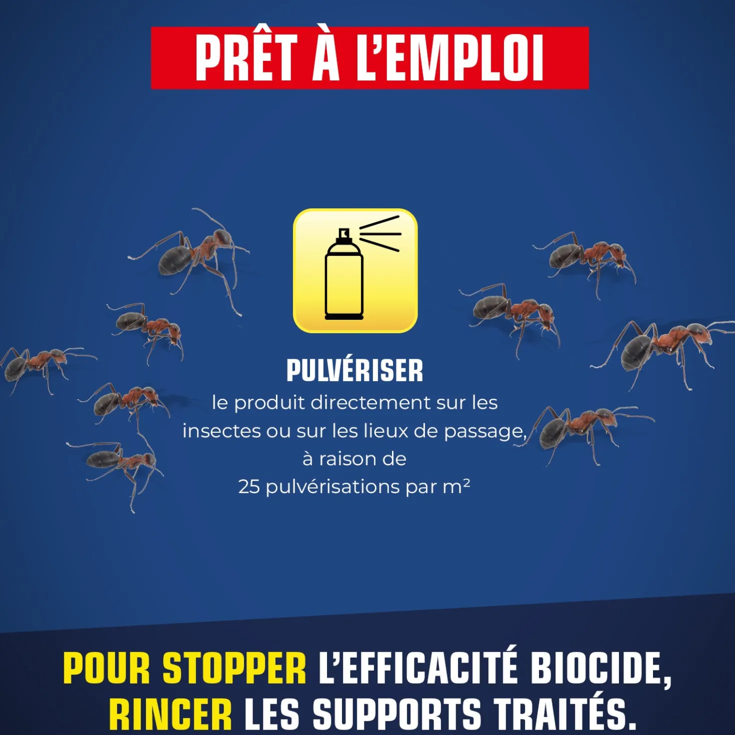 Pulvérisateur fourmis