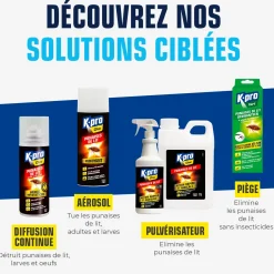 Recharge insecticide punaises de lit