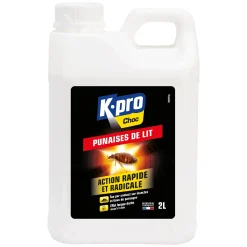 Recharge insecticide punaises de lit