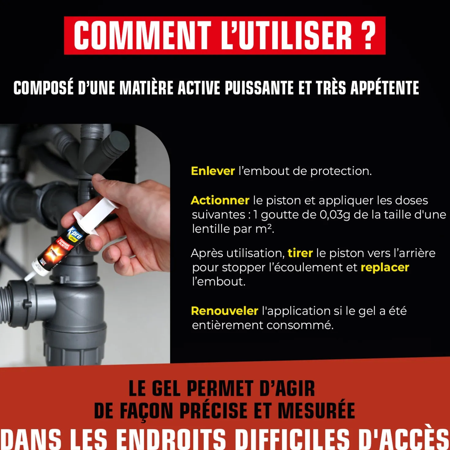 Seringue cafards et blattes