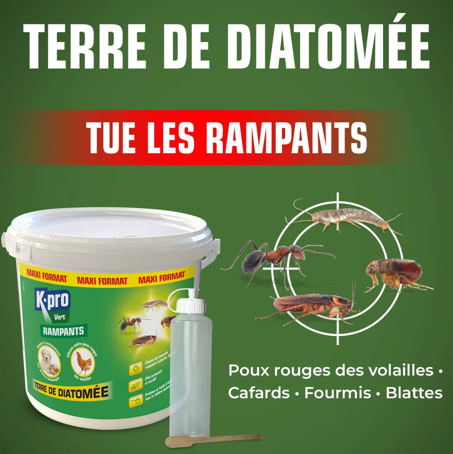 Terre de Diatomée Punaises de Lit avec flacon applicateur