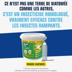 Terre de Diatomée Punaises de Lit avec flacon applicateur