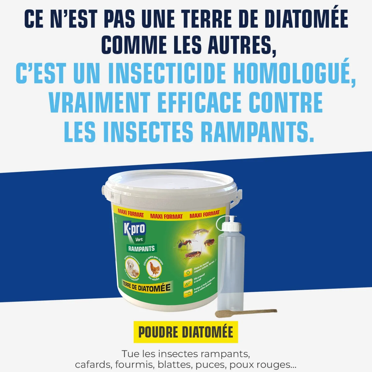 Terre de Diatomée Punaises de Lit avec flacon applicateur
