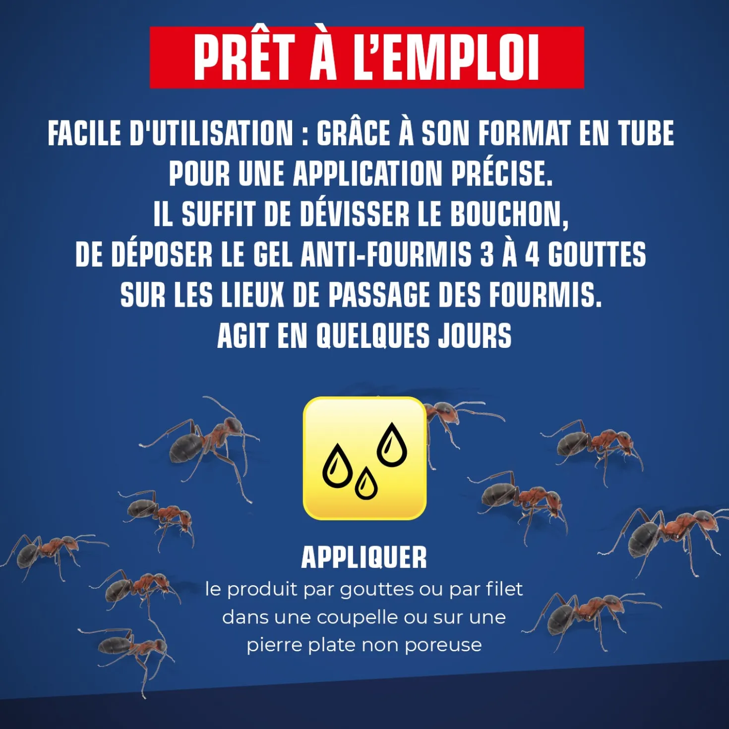 Tube fourmis